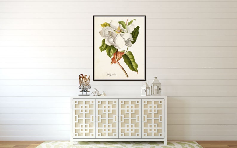 Magnolia Print No. 1, Botanical Print,Giclee, Art Print, Antique Botanical,Print, Poster, Wall Art, Vintage Botanical, Illustration, Collage image 4