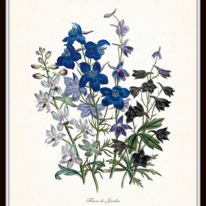 May include: A framed botanical print featuring a cluster of flowers in shades of blue, purple, and white. The flowers have detailed petals and green stems. The print is labeled "Fleurs de Jardin" in a classic font.