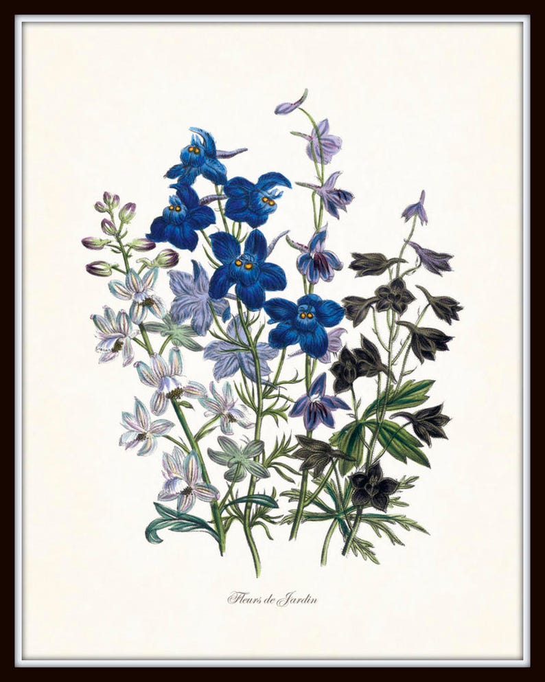 May include: A framed botanical print featuring a cluster of flowers in shades of blue, purple, and white. The flowers have detailed petals and green stems. The print is labeled "Fleurs de Jardin" in a classic font.