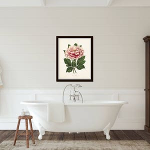 May include: A framed botanical illustration of a pink peony flower with green leaves. The illustration is in a black frame and is hanging on a white wall in a bathroom.