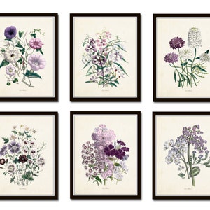 Les Fleurs Print Set No. 7, Vintage Botanical, Giclee, Art Print, Antique Botanical Prints, Flower Prints, Botanical Print Set, Wildflower