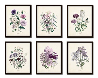 Les Fleurs Print Set No. 7, Botanical Prints, Giclee, Art Print, Antique Botanical Prints, Flower Prints, Botanical Print Set, Illustration