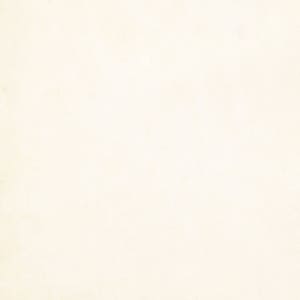 May include: A plain white background with a subtle texture.