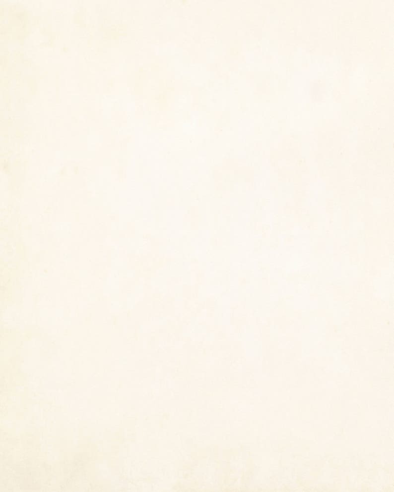 May include: A plain white background with a subtle texture.