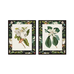 Vintage Magnolia Botanical Collage Print Set No. 3, Botanical Art, Vintage Botanical Prints, Wall Art, Magnolia Print, Home Decor, Wall Art
