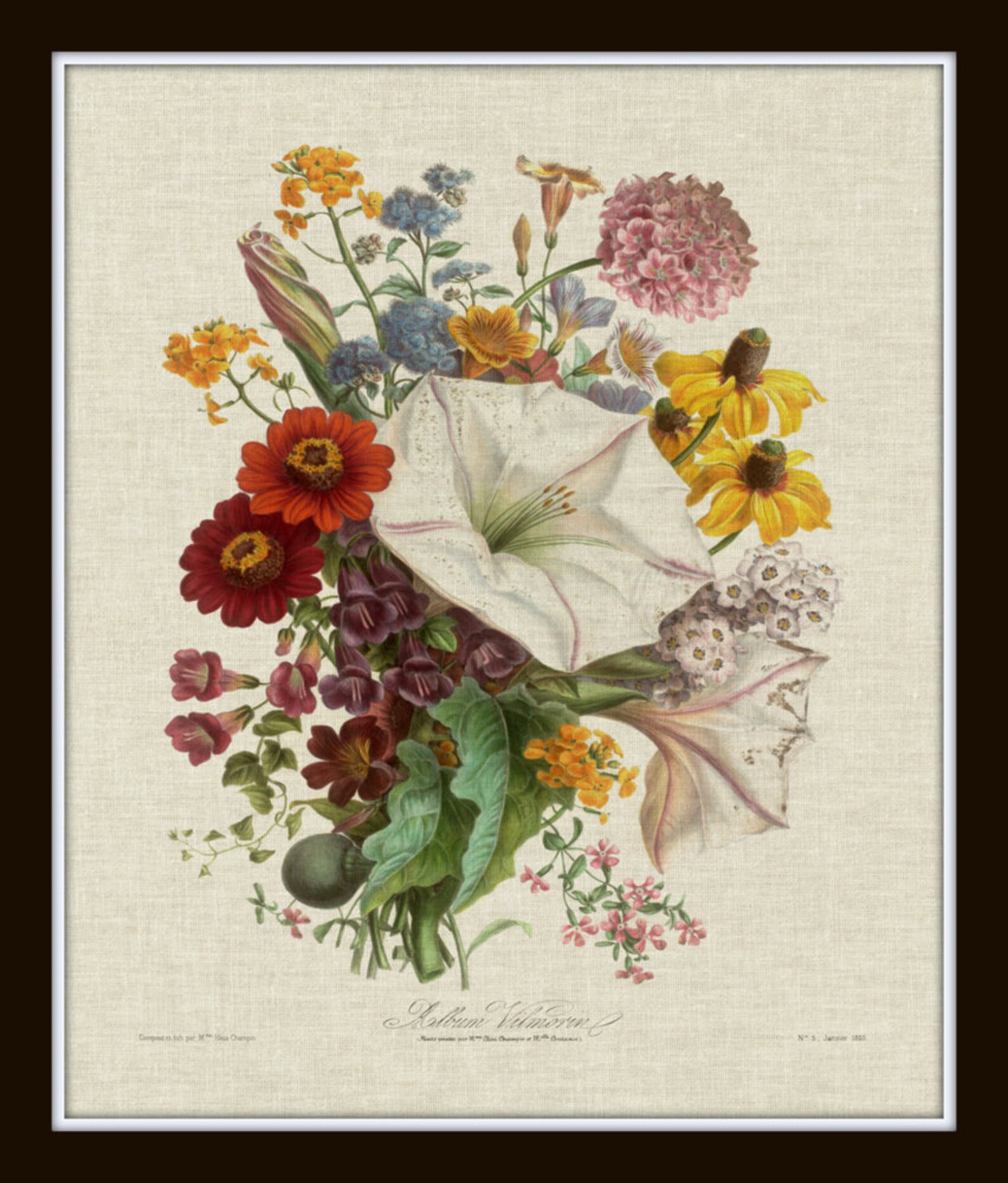 French Botanical Print Set No. 2 Vintage Botanical Prints Etsy