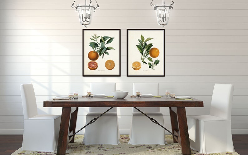 Vintage Citrus Orange Botanical Print Set, Citrus Prints, Vintage Fruit Prints, Kitchen Wall Decor, Kitchen Wall Art Bild 5