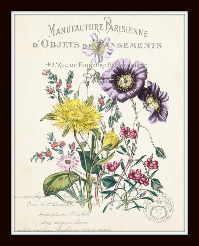 May include: A vintage botanical illustration featuring a bouquet of flowers in shades of yellow, purple, pink, and green. The flowers are arranged in a vase and are surrounded by a white background. The text "MANUFACTURE PARISIENNE D'OBJETS DE PANSEMENTS 40, RUE DU FAUBOURG POISSONNIERE" is printed at the top of the image.