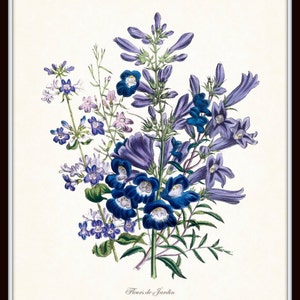 May include: A framed botanical print featuring a detailed illustration of various flowers. The artwork showcases a bouquet of blue, purple, and white flowers with green foliage against a cream background. The text "Fleurs de Jardin" is at the bottom.