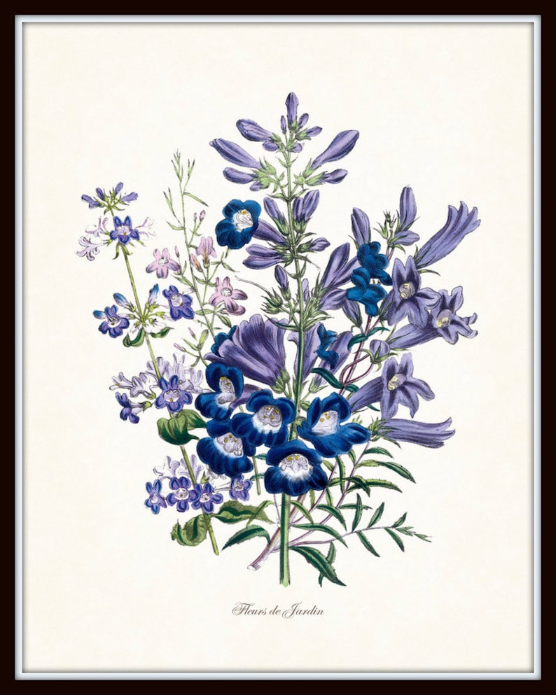 May include: A framed botanical print featuring a detailed illustration of various flowers. The artwork showcases a bouquet of blue, purple, and white flowers with green foliage against a cream background. The text "Fleurs de Jardin" is at the bottom.