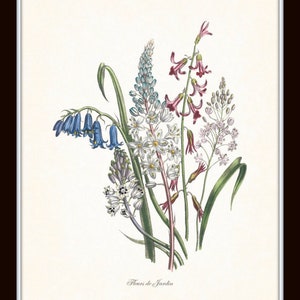 Fleurs De Jardin Print Set No. 2, Botanical, Print Set, Wall Art ...
