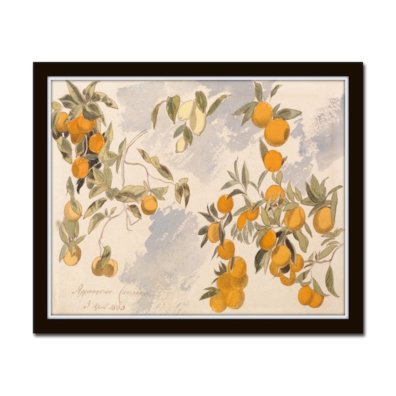 Lemons and Oranges Print, Lemon Print, Citrus Print, Art Print, Botanical Print, Botanical Art, Wall Art, Lemon, Orange, Giclee