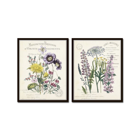 French Botanical Collage Print Set No. 23, Botanical Prints, Home Decor, Wall Art, Vintage Botanical, Wildflower Prints, French Art Decor