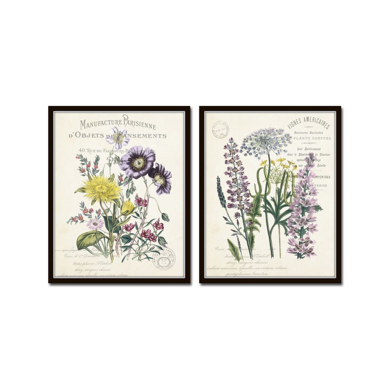 May include: Two framed botanical prints with vintage floral illustrations. The left print features purple, yellow, and pink flowers with the text "Manufacture Parisienne d'Objets de Parfumerie." The right print features purple and white flowers with the text "Vignes Americaines."