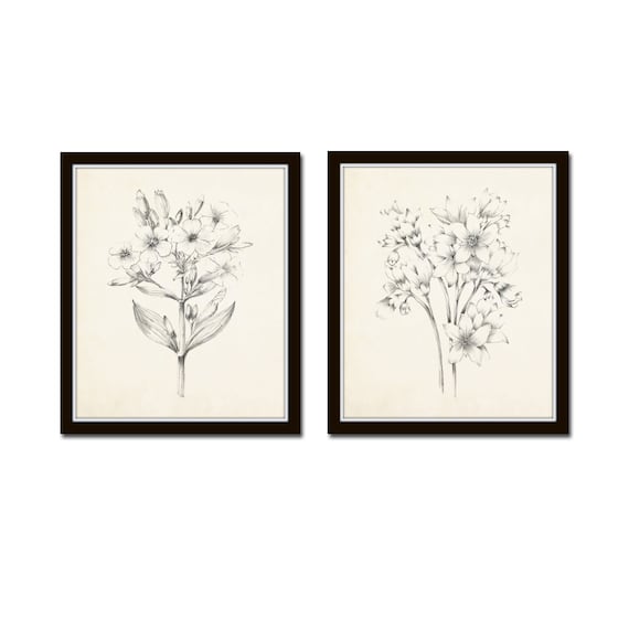 Wall Art Print | Minimalist botanical illustration. Golden outline of |  Europosters