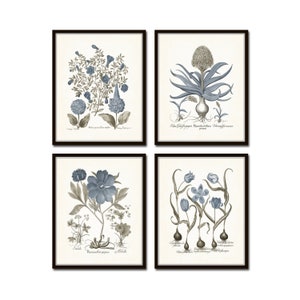 Vintage Sepia and Blue Print Set No. 9, Antique Botanical Prints, Vintage Botanical Print, Blue Flower Art, Coastal Art, Giclee, Wall Art