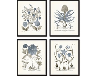 Vintage Sepia and Blue Print Set No. 9: Set of 4 Giclee Botanical Prints on Archival Paper