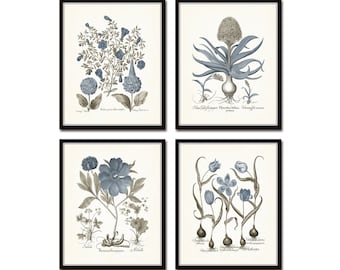 Vintage Sepia and Blue Print Set No. 9, Botanical Prints, Vintage Botanical Print. Botanical Print Set