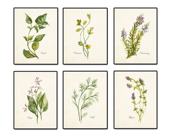 Watercolor Herbs Print Set 2, Botanical Print, Giclee, Art Print, Herb Prints, Collage, Kitchen Art, Cottage Style , Farmhouse Style Art,