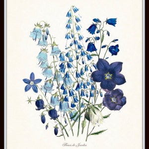 May include: A framed botanical print featuring a collection of blue and purple flowers. The illustration includes various flower types, with detailed depictions of petals and stems. The text "Fleurs de Jardin" is at the bottom of the print.