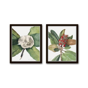 Vintage Watercolor Magnolia Print Set No. 2,  Botanical Prints, Giclee, Southern Flower Art, Wall Art, Art Prints, Magnolia Prints