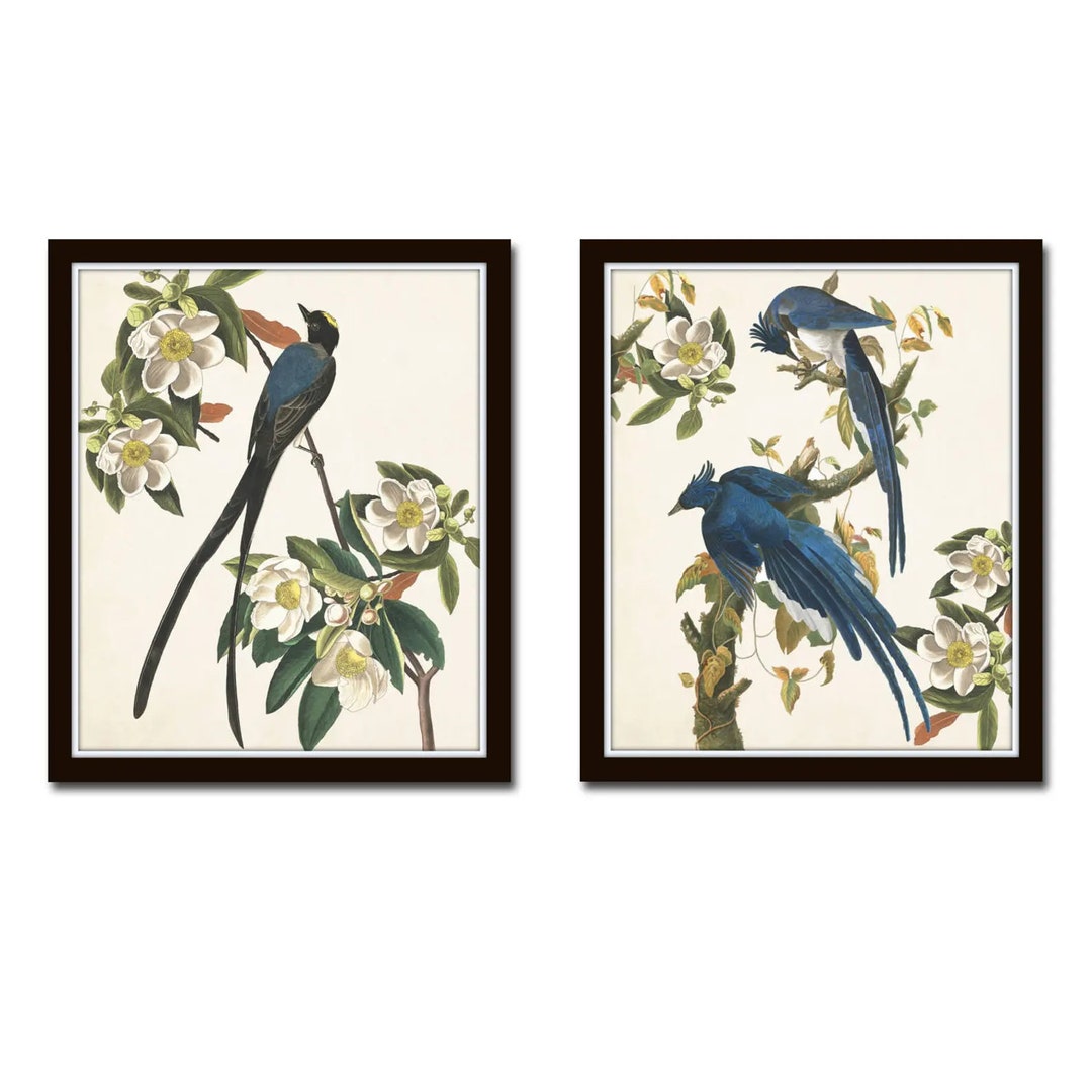 Blue Birds Print Set No. 1, Vintage Botanical Prints, Wall Art, Art ...