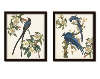 Blue Birds Print Set No. 1, Botanical Prints, Wall Art, Prints, Giclee, Vintage Bird Prints, Audubon Bird Prints, Magnolia