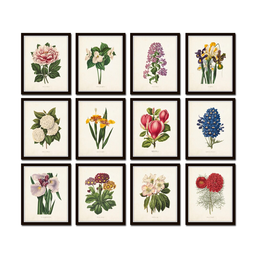 Photo inspiration: Picture Idea: Botanical Garden Print Set No 21 Botanical Print Set Botanical