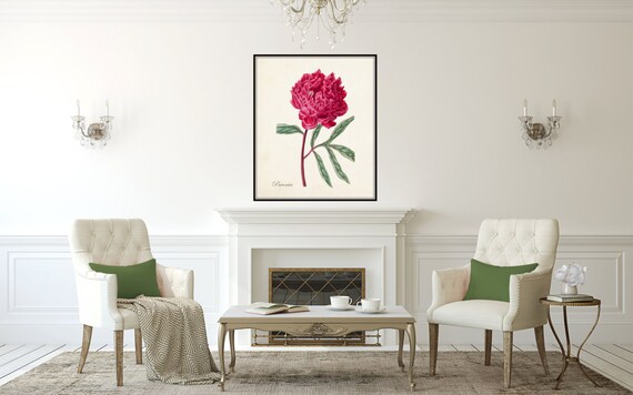 Vintage Peony No 16 Botanical Print Giclee Art Singapore Botanical Print Giclee Art, Mary Beth Pink Chandelier Phone Cases