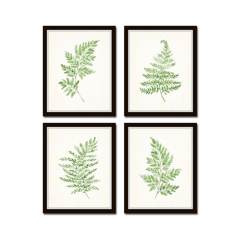 Watercolor Ferns Print Set 30 Botanical Prints Botanical | Etsy