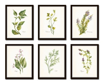 Watercolor Herbs Print Set No. 1, Botanical Prints, Giclee, Art, Herb Prints, Kitchen Art, Botanical Print Set, Herbs, Watercolor Art