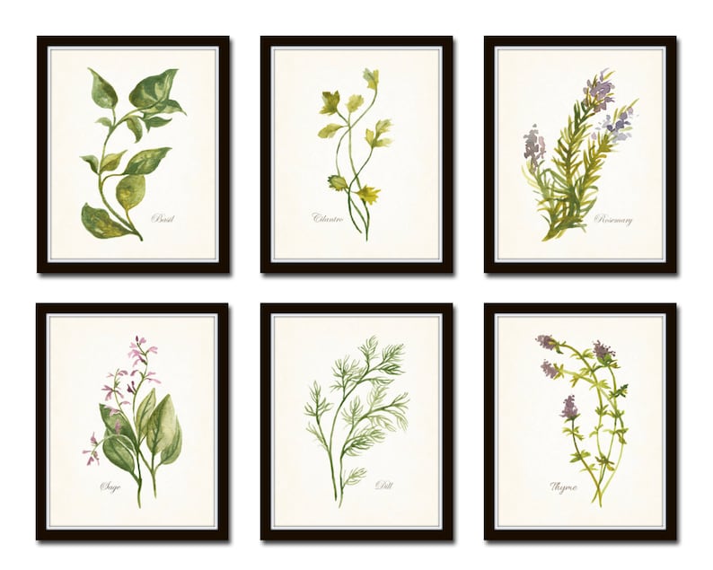 Watercolor Herbs Print Set No. 1, Botanical Prints, Giclee, Art, Herb Prints, Kitchen Art, Botanical Print Set, Herbs, Watercolor Art image 1
