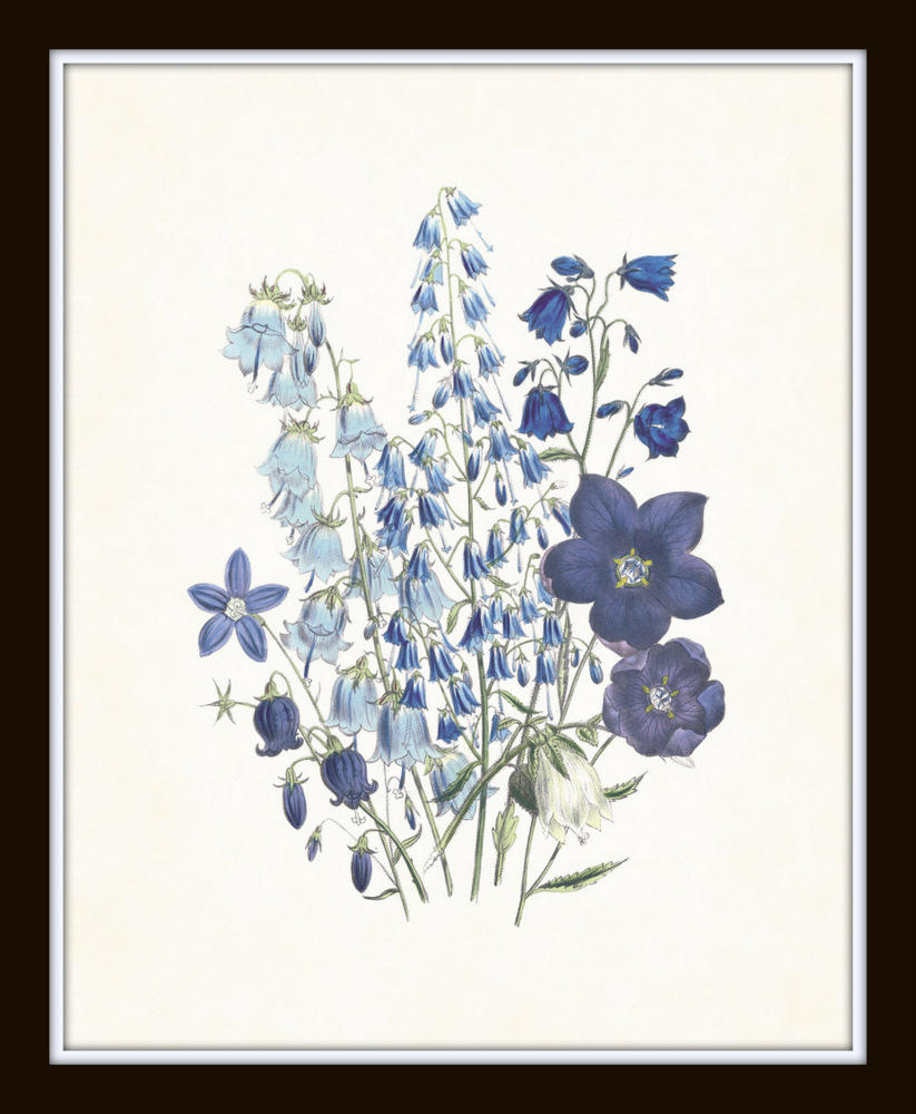Wildflower Print Set No. 4 Botanical Prints Giclee Art | Etsy