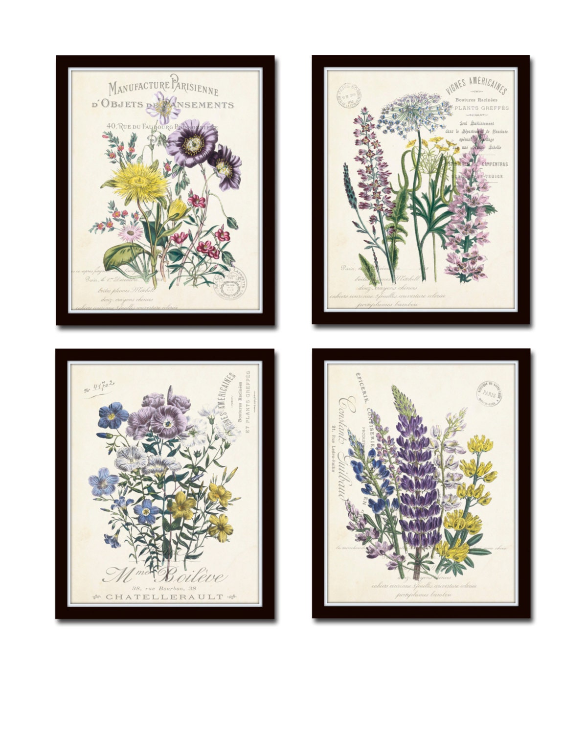 French Botanical Collage Print Set No. 2, Wildflower Prints, Wall Art ...
