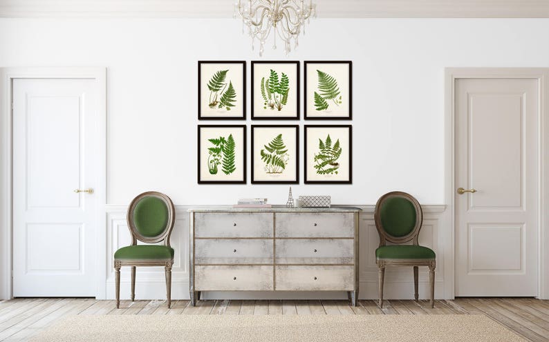 Vintage Ferns Print Set No. 26, Giclee, Botanical Art, Botanical Print Set, Vintage Fern Prints, Wall Decor Living Room, Wall Art image 8