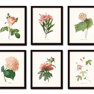 Pink Botanical Print Set No. 3, French Botanical Prints, Giclee, Art Print, Antique Botanical Prints, Wall Art, Flower Art, Pink Flower Art