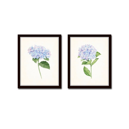 Hydrangea Print Set Botanical Prints Watercolor Botanical - Etsy