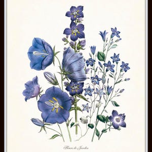 May include: A botanical print featuring a bouquet of blue and purple flowers, including bellflowers and other varieties. The artwork has a vintage style, with detailed illustrations and the text "Fleurs de Jardin" at the bottom.