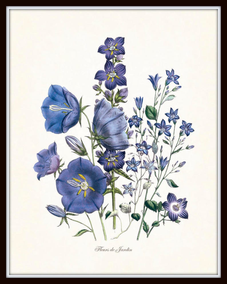 May include: A botanical print featuring a bouquet of blue and purple flowers, including bellflowers and other varieties. The artwork has a vintage style, with detailed illustrations and the text "Fleurs de Jardin" at the bottom.