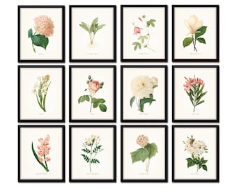 Pink and White Botanical Print Set No. 4, French Botanical Prints, Giclee, Antique Botanical Prints, Gallery Wall Art