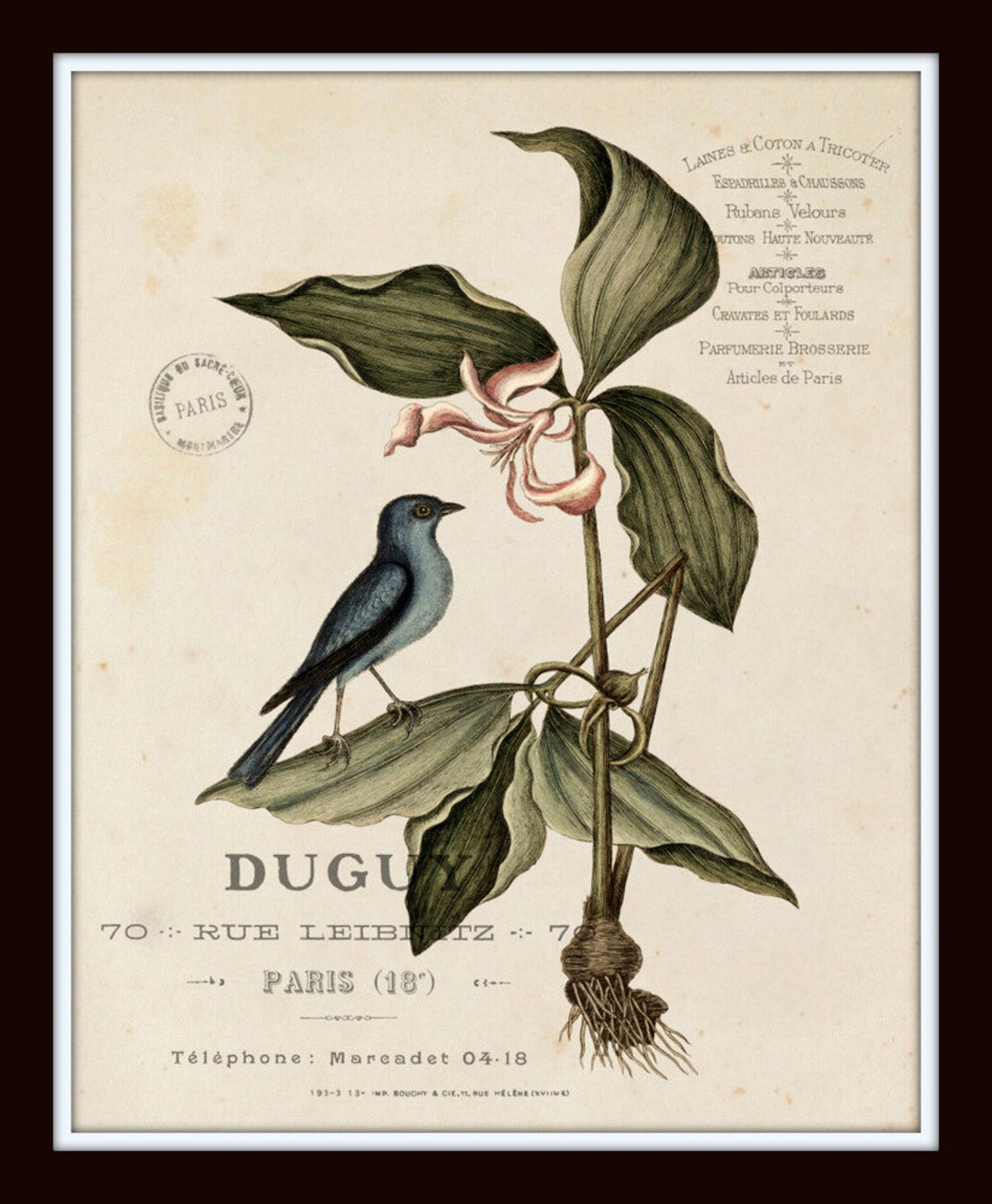Vintage Bird and Botanical Print Set No.2, Giclee, Antique Botanical ...