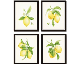 Watercolor Lemons Print Set, Botanical Prints, Print Set, Giclee, Lemon Prints, Citrus Prints, Wall Art, Farmhouse Art,Kitchen Art