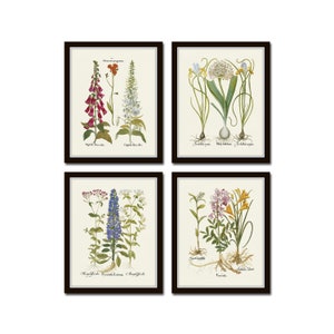 Antique Botanical Print Set No. 33, Vintage Botanical Prints, Antique Botanical Art, Grandmillennial, Giclee, Home Decor, Wall Art, Prints
