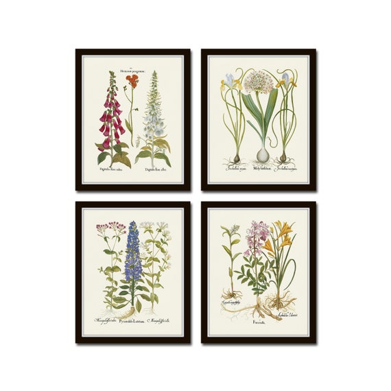 Antique Botanical Print Set No. 33, Vintage Botanical Prints, Antique Botanical Art, Grandmillennial, Giclee, Home Decor, Wall Art, Prints