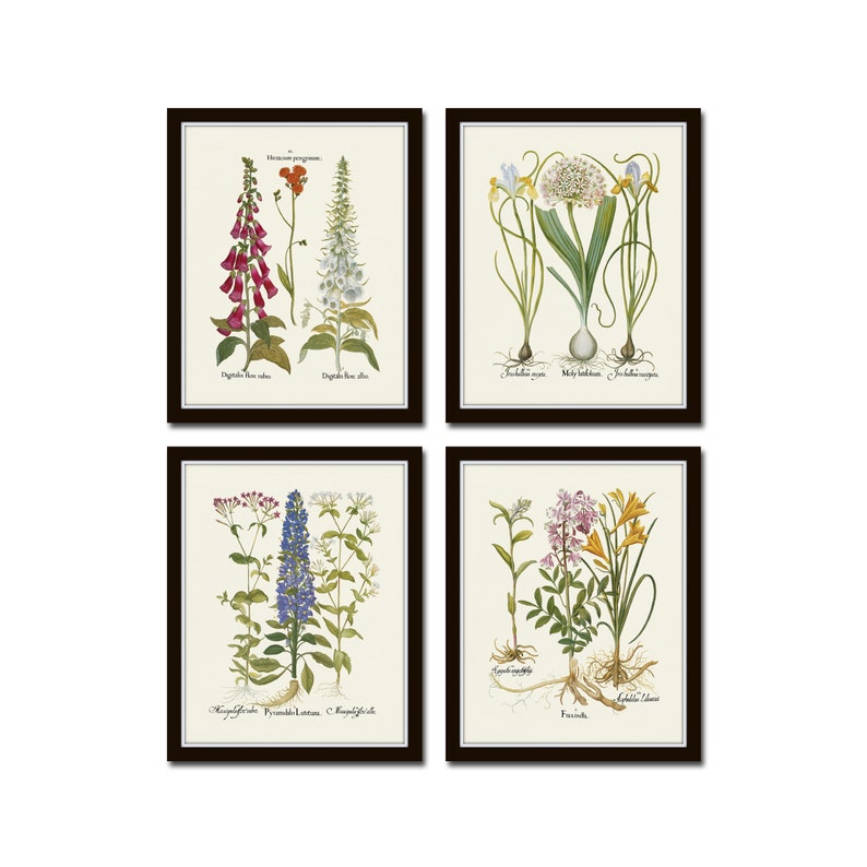 May include: Set of four botanical prints featuring detailed illustrations of various flowers, including foxgloves, allium, larkspur, and daylilies. Each print has a black frame and a white background.