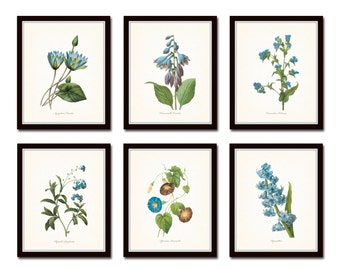 Blue Botanical Print Set No. 2, Redoute Botanicals, Giclee, Art, Flower Prints, Posters, Antique Botanicals, Prints Sets, Illustration