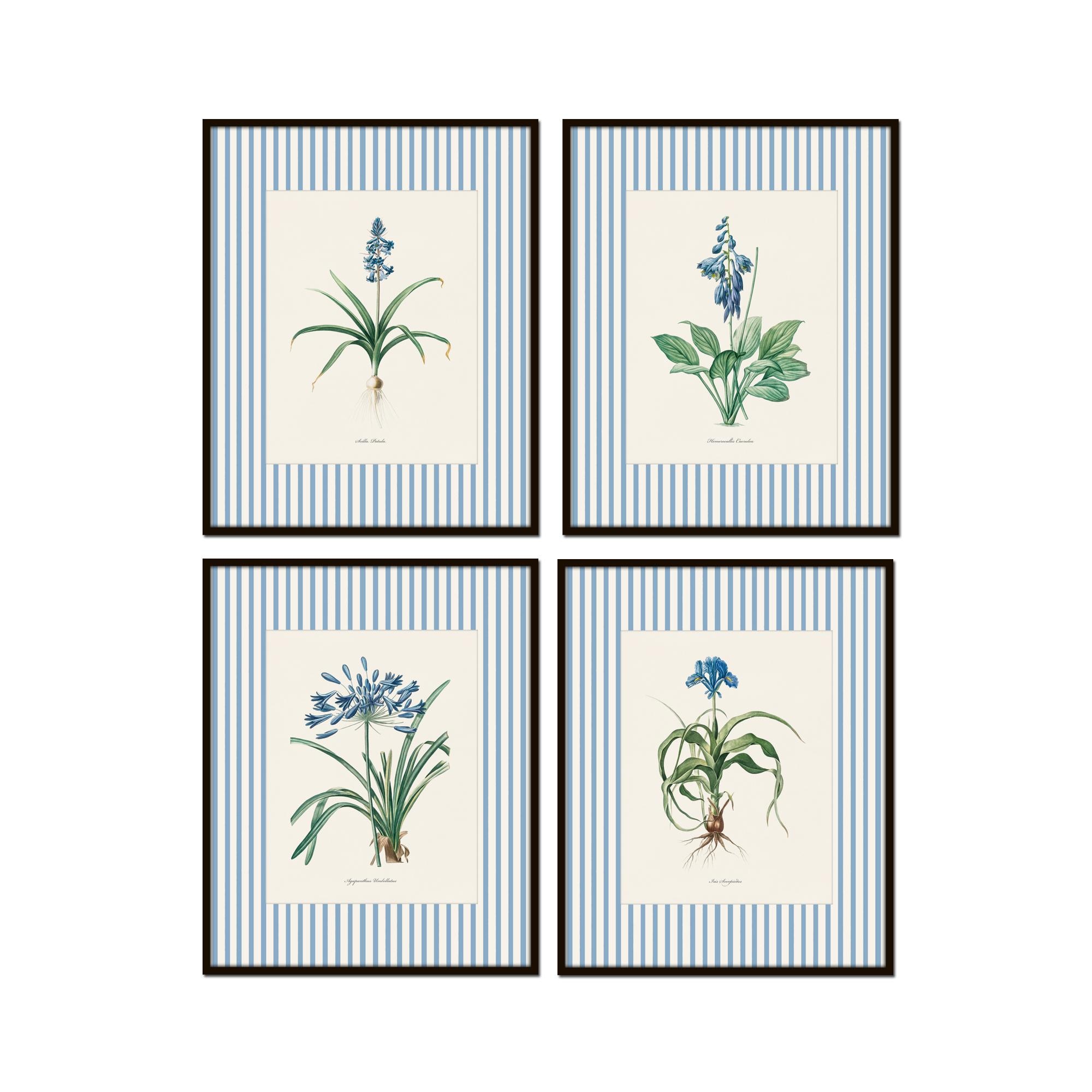 Striped French Botanical Prints, Striped Floral Print, Wall Art, Blue and White Art Decor, Coastal Art, Botanical Art, Blue Floral