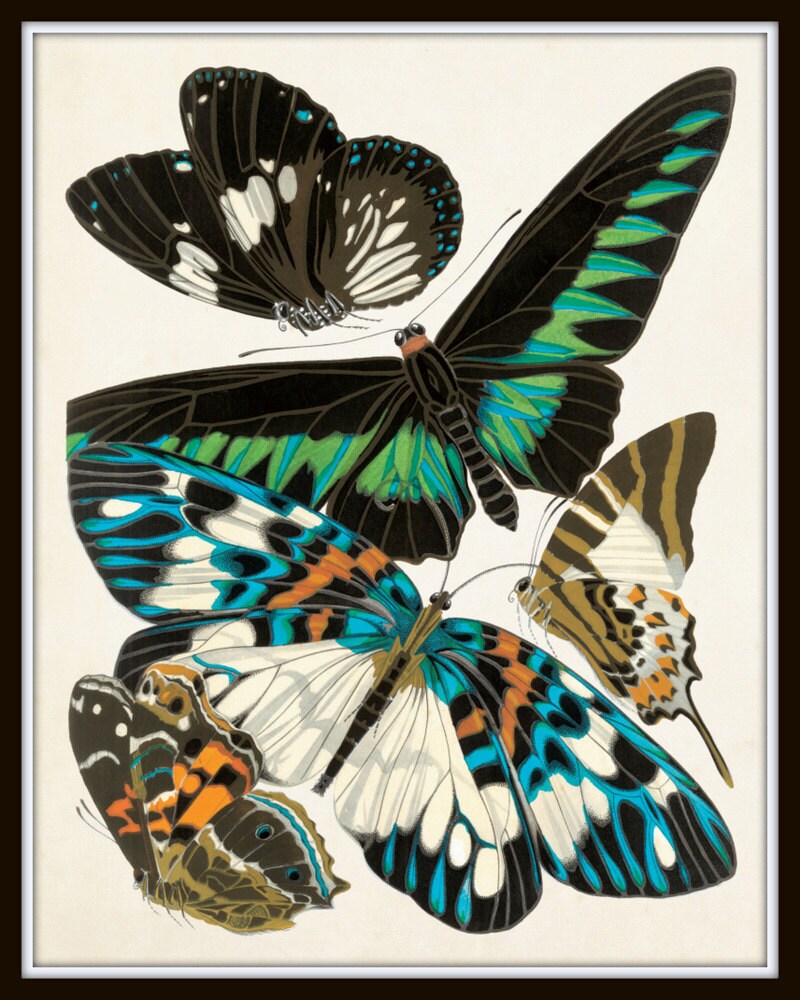 Butterfly Print Set, Seguy Butterfly Prints, Art Nouveau,butterflies ...