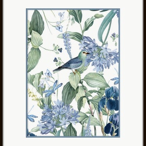 Vintage Bird and Botanical Collage Print Set No. 14, Vintage Bird ...