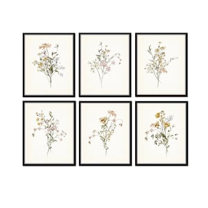 Watercolor Wildflowers Print Set No. 1, Wildflower Prints, Botanical Art,  Botanical Print Set, Wall Art, Home Decor, Gallery Wall Art